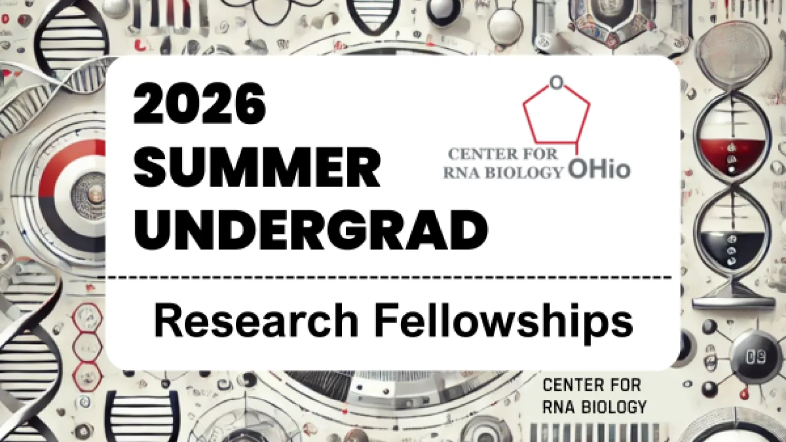 Summer Undergrad